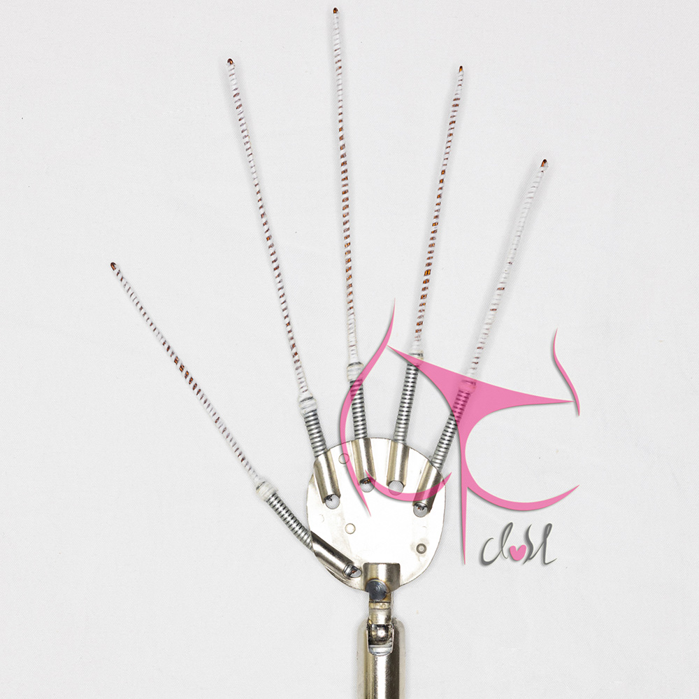 Hand Palm & Wrist Joint