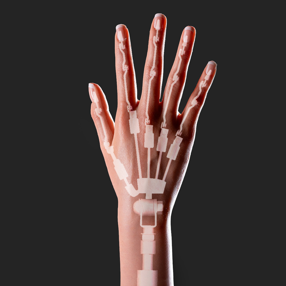 Articulated Hand
