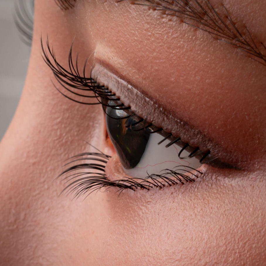 Eyelash