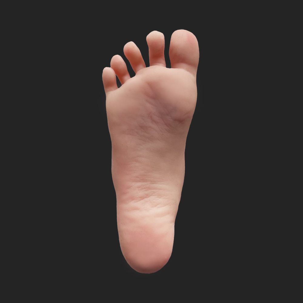 Foot Standard