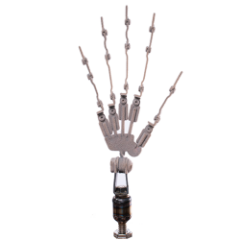 Articuated Fingers