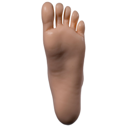 Normal Feet