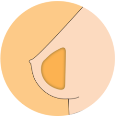 Soft Gel Breasts
