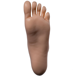 Standing Feet Without Bolt