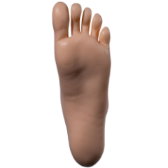 Standing Feet Without Bolt