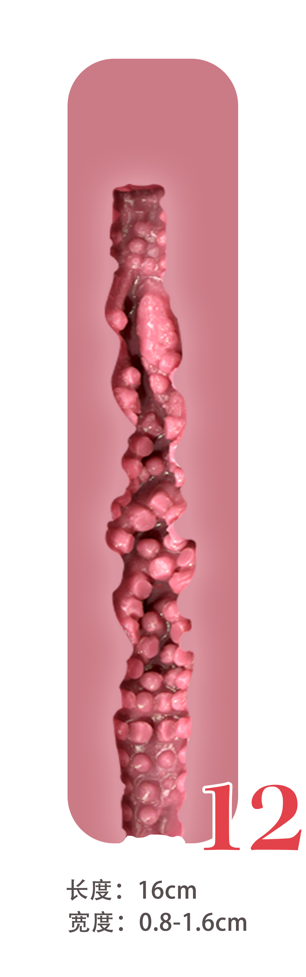 #12-16cm