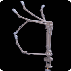 BoneFlex Hand Skeleton