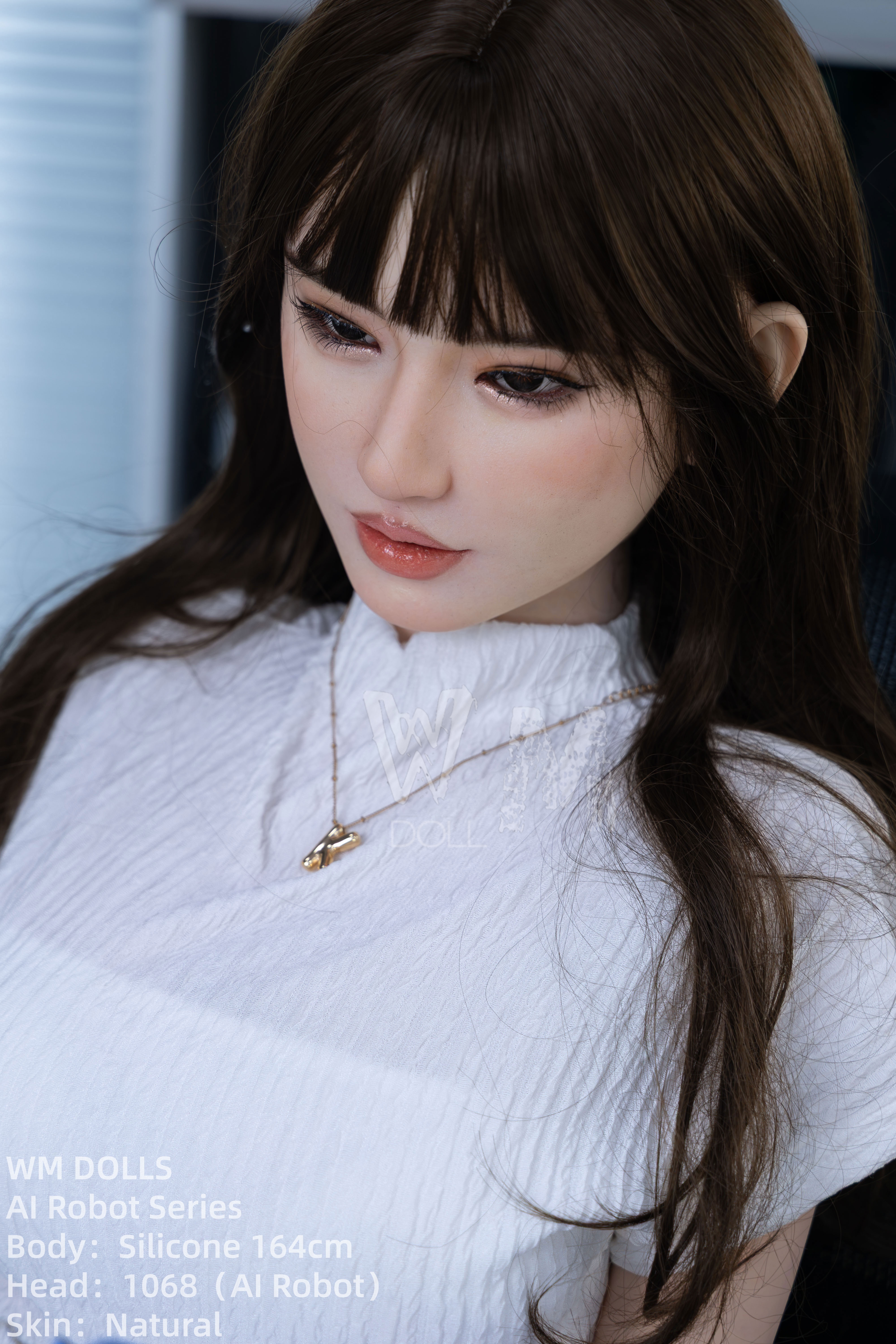 WM Dolls® 164cm (5.38') D-Cup Sex Doll, AI Head #1068, AI Robot Series