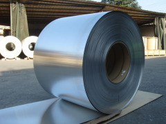 Duplex Stainless Steel Foil
