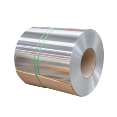 Austenitic Stainless Steel Foil