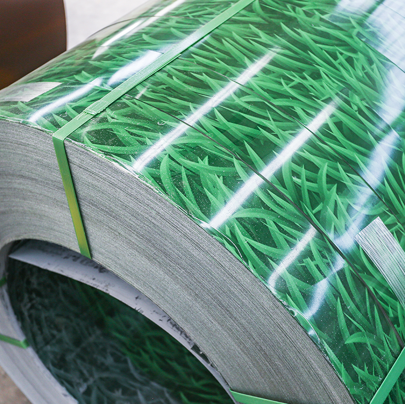 Pattern color coated Coil