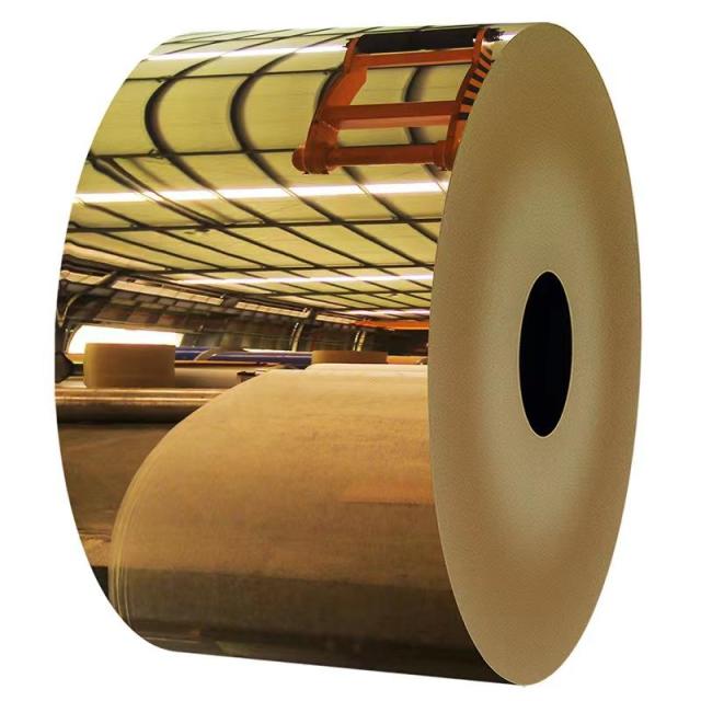 Prepainted Stainless Steel Steel Roll 0.6mm 0.75mm Thickness Color Coil Colorfast PPGI/PPGL Color Coated Steel Coil