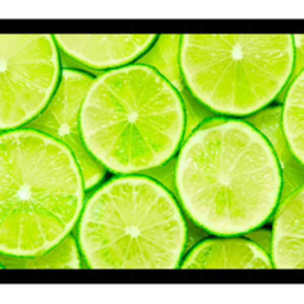 High Brightness Open Frame Monitor