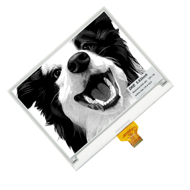DKE 5.83 Inch Black White e Paper Display