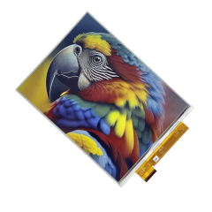 DKE 13.3 inch Full-color ePaper Display