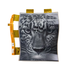 Flexibles 13,3 Zoll E-Paper-Display