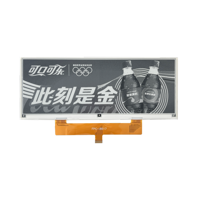 DKE 10.85 inch Black White ePaper Display
