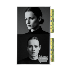 DKE 31,2 Zoll Schwarz-Weiß-Epaper-Display