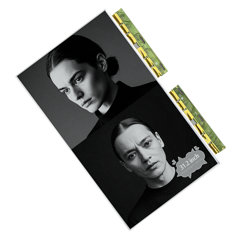 DKE 31.2 Inch Black White E-paper Display