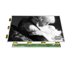 DKE 25.3 Inch Black White E-paper Display