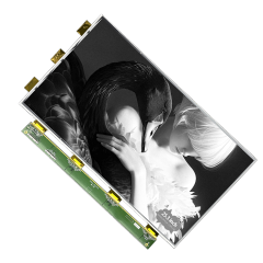 DKE 25.3 Inch Black White E-paper Display