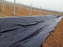 土工膜