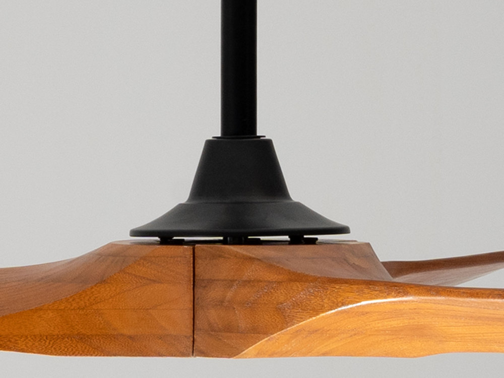 Ceiling Fan