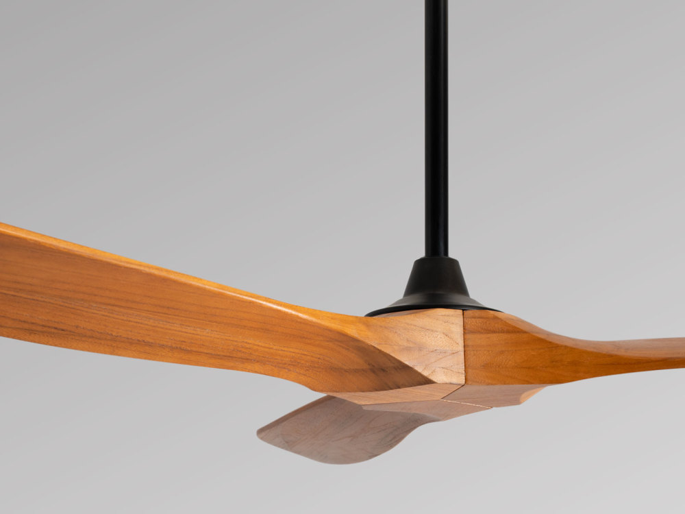 Ceiling Fan