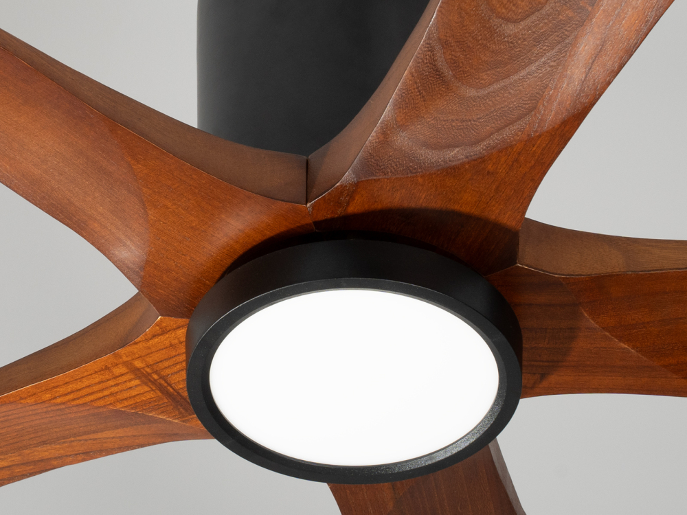 ceiling fan