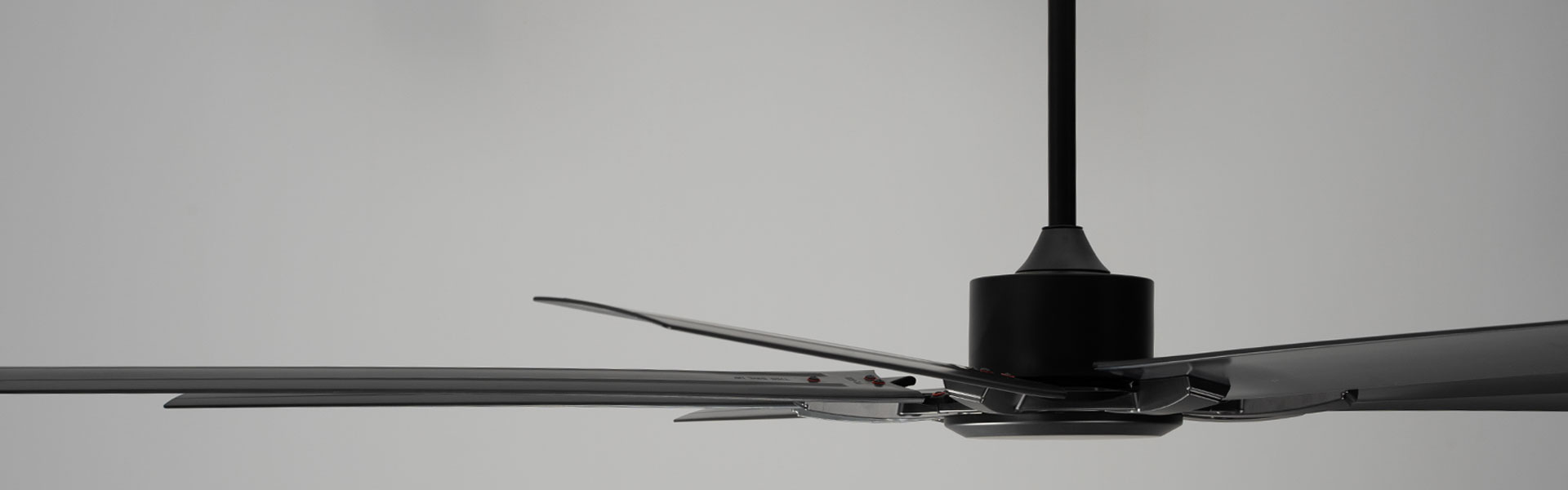 Cookie Notice & Privacy Policy