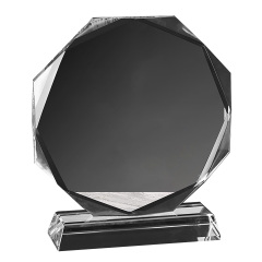 Acrylic Trophy with Wooden Stand