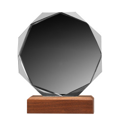 Acrylic Trophy with Wooden Stand
