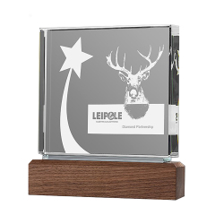 Rectangle Acrylic Trophie with Walnut Base