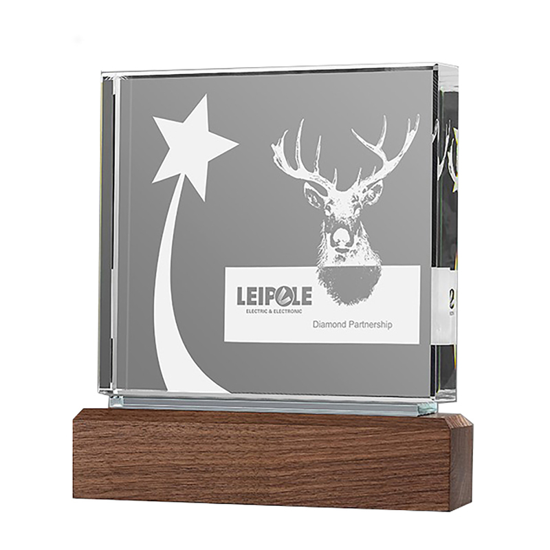 Rectangle Acrylic Trophie with Walnut Base