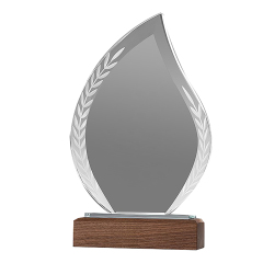 Leave Acrylic Trophie with Walnut Base