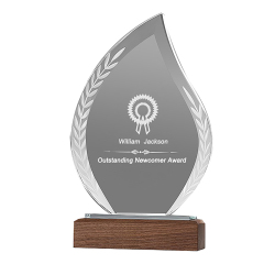 Leave Acrylic Trophie with Walnut Base
