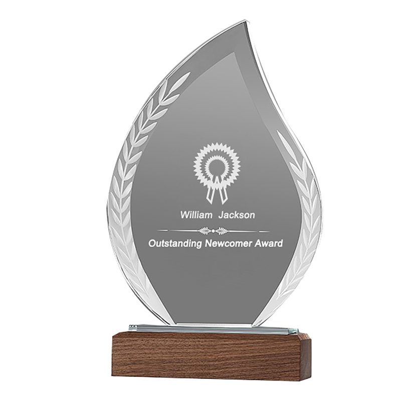 Leave Acrylic Trophie with Walnut Base