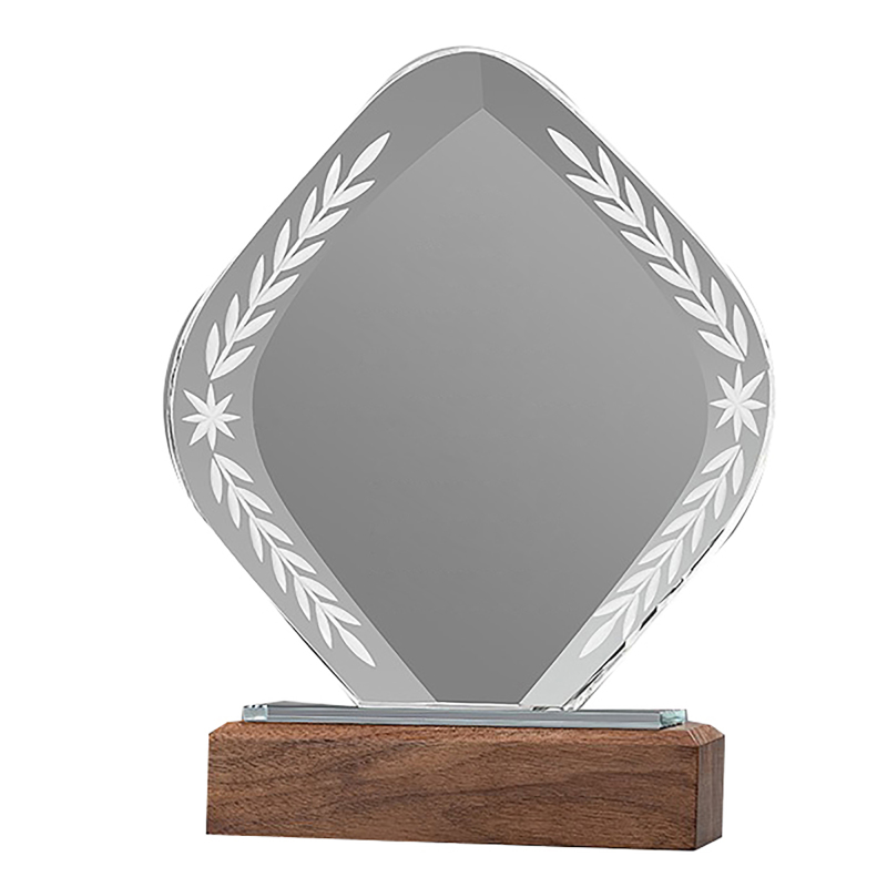 Transparent Acrylic Trophie with Walnut Base