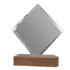 Clear Acrylic Trophie with Walnut Base