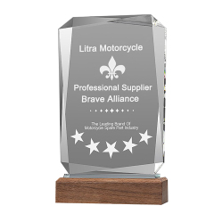 Multi-Faceted Trophie with Walnut Base