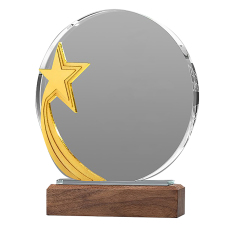 Round Acrylic Trophie with Walnut Base