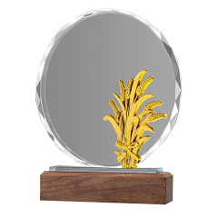 Rice Acrylic Trophie with Walnut Base