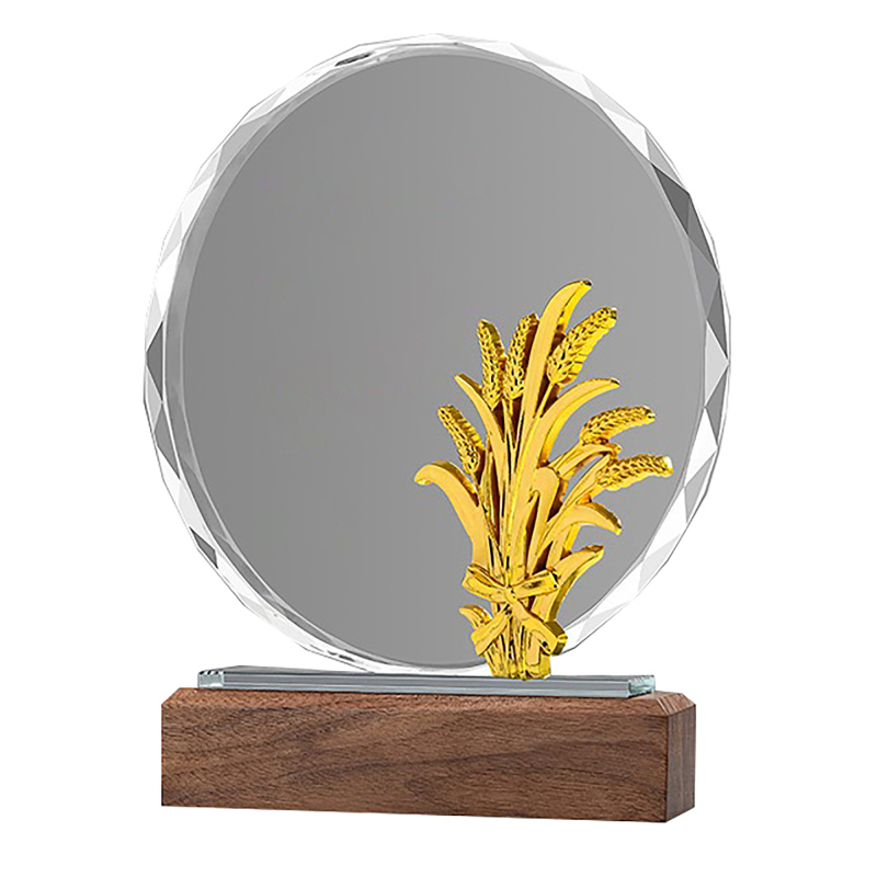 Rice Acrylic Trophie with Walnut Base