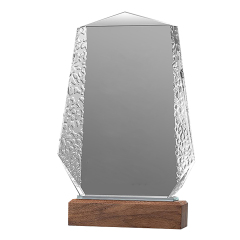 Acrylic Trophie with Walnut Stand