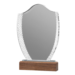 Cross Grain Acrylic Trophie with Walnut Base