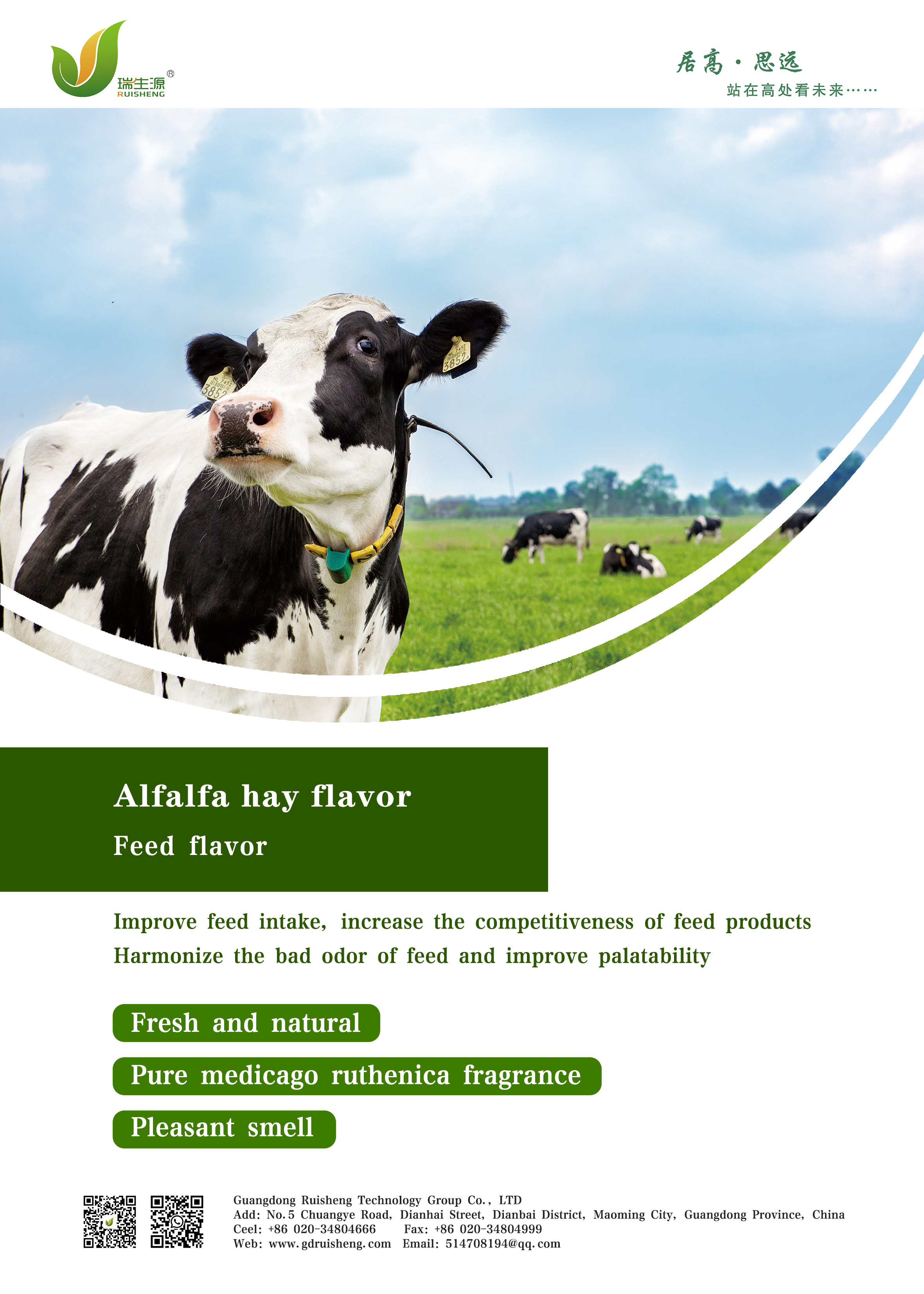 Alfalfa hay flavor