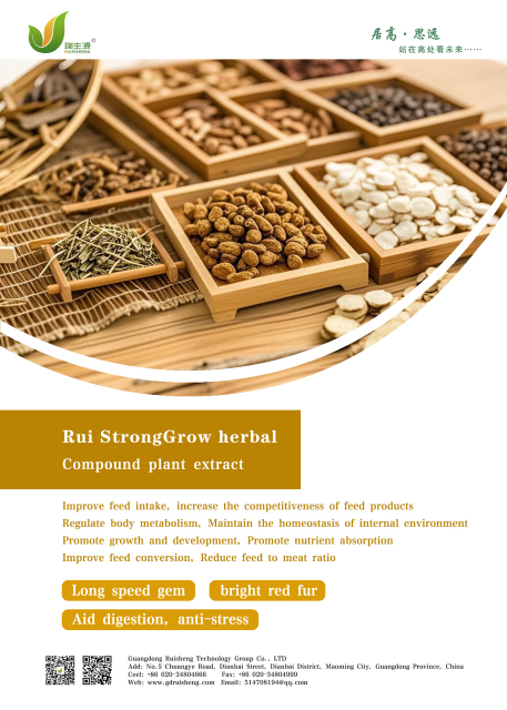 Rui Strong Grow herbal
