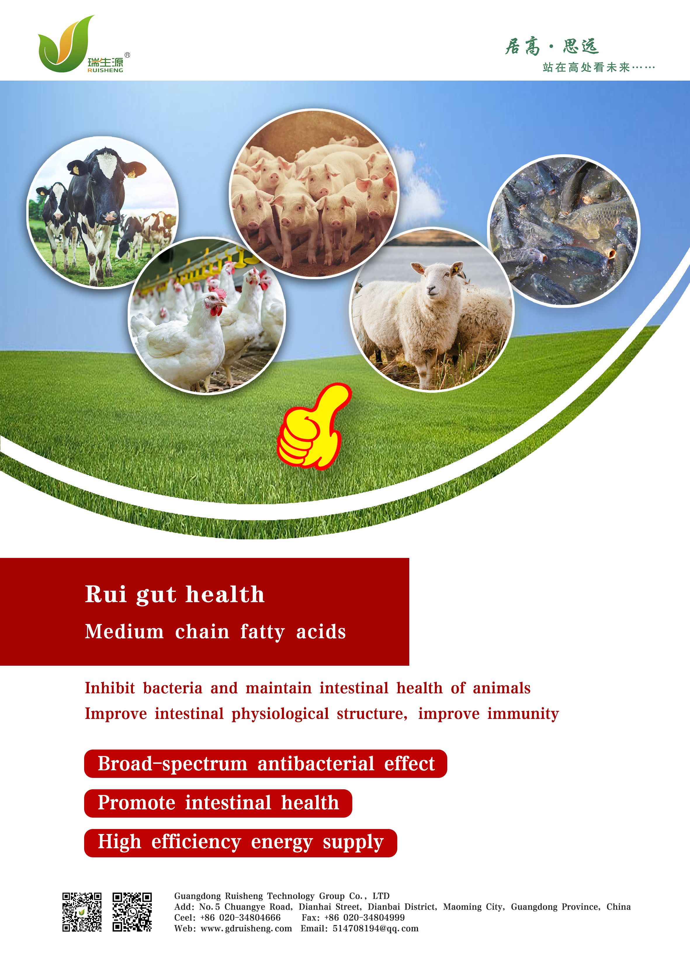 Rui gut health