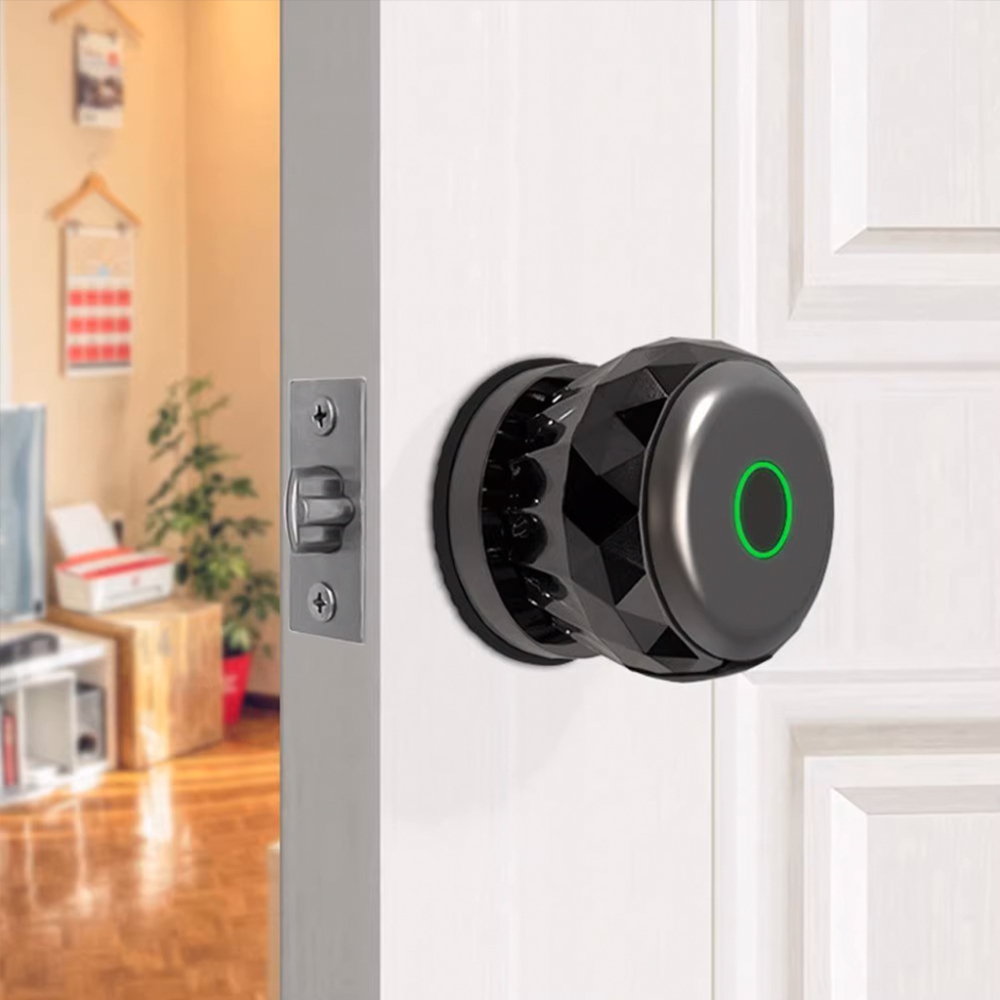 BDI Smart Knob Biometric Door Lock