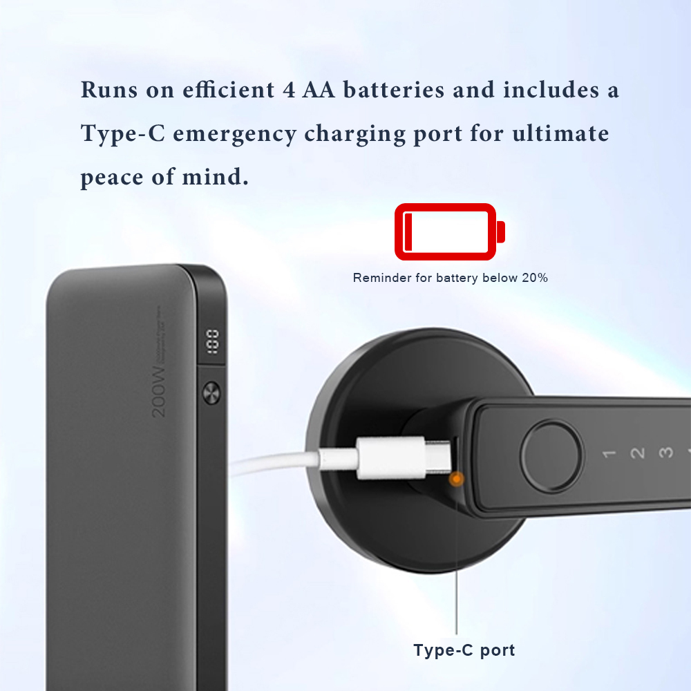 BDI Smart Door Lock 8 Unlock Methods Fingerprint NFC Key Card Wi-Fi Remote Tuya App Control